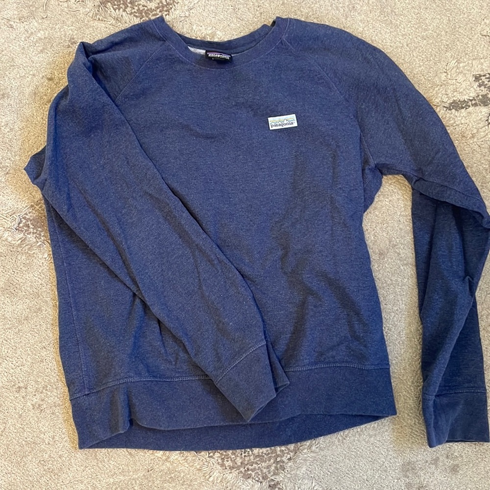 Patagonia Swearshirt